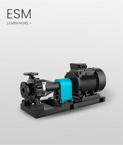 ESM