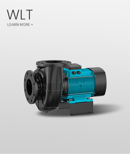 WLT