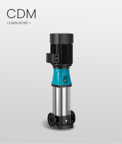 CDM(F)