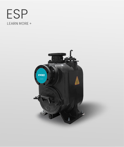ESP