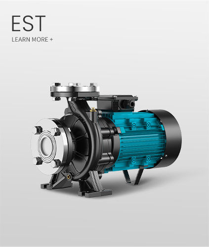 EST