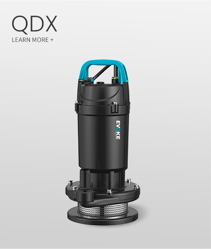 QDX