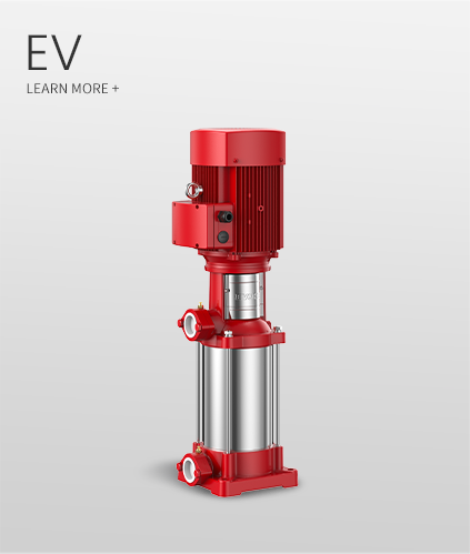 EV