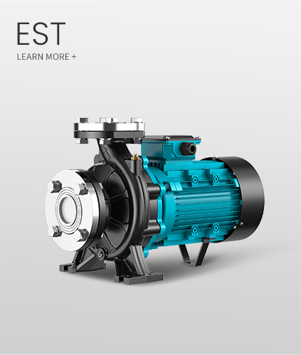 EST