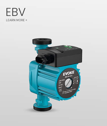 EBV